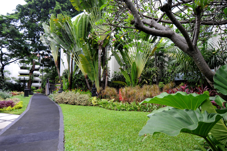 scenery