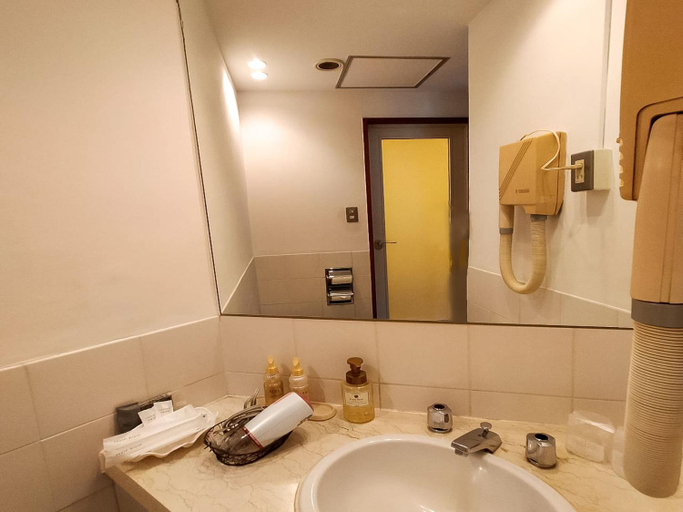 Bathroom 2, Hotel Posh, Odawara