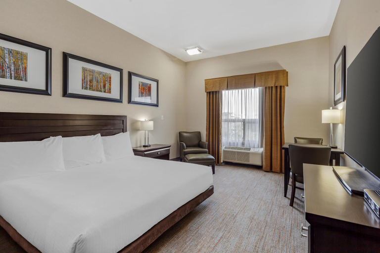 Bedroom 4, Best Western Wainwright Inn & Suites, Division No. 7
