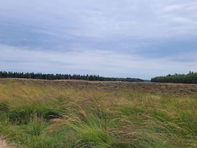 Miscellaneous 2, 4 Star Holiday Home in Brande, Herning