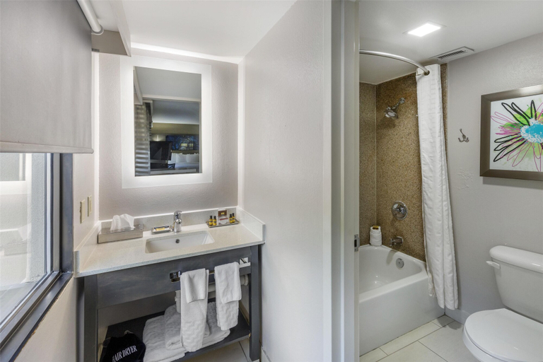 Bathroom 4, Bw Plus Clemson Hotel & Conference Center, Pickens