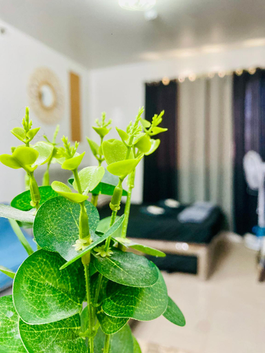 Others 4, Renovated FurnishedCondoNearAirport, Malls&School, Lapu-Lapu City