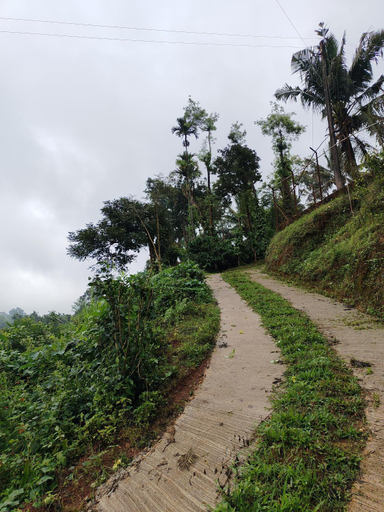 4, Shivalaya Homestay, Madikeri, Kodagu