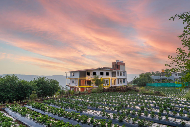 Exterior & Views 1, Strawberry King Resort, Satara