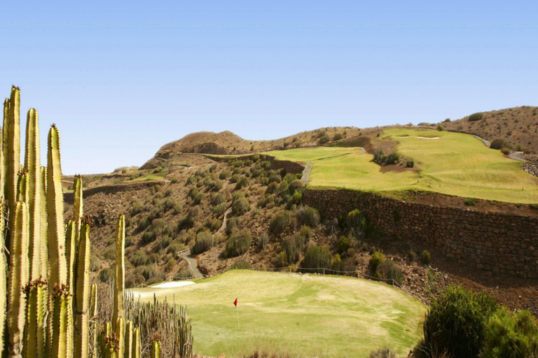 Others 4, Holiday home in San Bartolome de Tirajana, Las Palmas