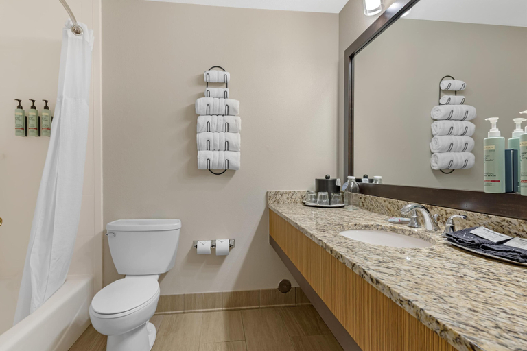 Bathroom 4, Best Western Vista Inn, Chaffee