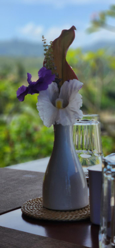 Food & Drinks 3, Terrace Retreat & Spa, Jembrana