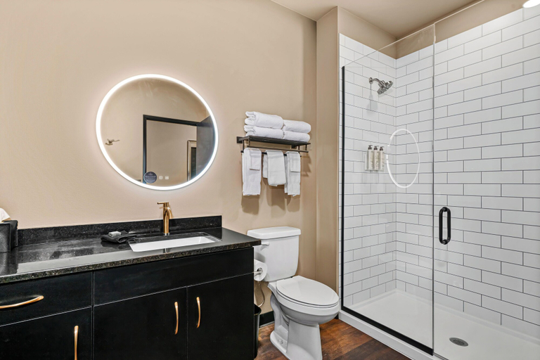 Bathroom 4, Force on 5th Avenue Hotel, Saint Louis