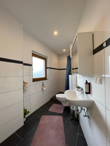 Bathroom 2, Gemutliches Apartment in Geisenheim, Rheingau-Taunus-Kreis