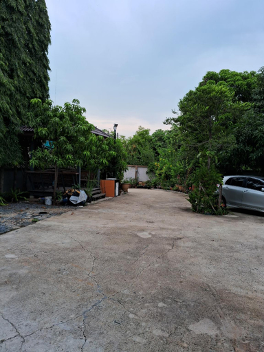 Others 5, Rabbit House, Phra Nakhon Si Ayutthaya