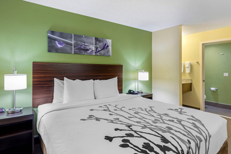 Bedroom 3, Sleep Inn Denver Tech Center, Arapahoe
