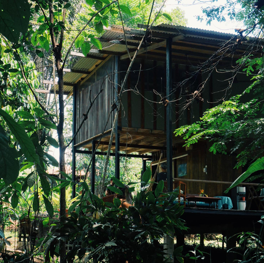 Others 4, Amazona Lodge, Leticia