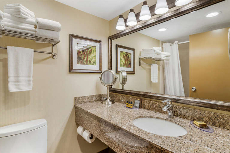 Bathroom 4, Best Western Plus Cedar City, Iron