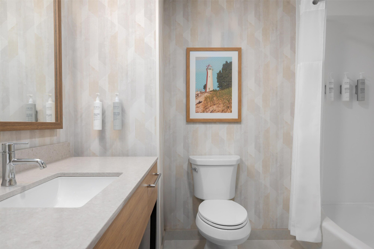 Bathroom 3, Hampton Inn & Suites Alpena, Alpena