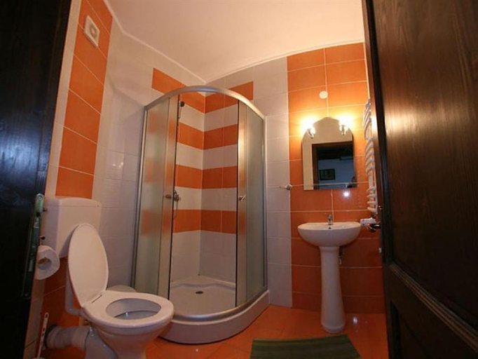 Bathroom 4, Pensiunea Andreea, Baisoara