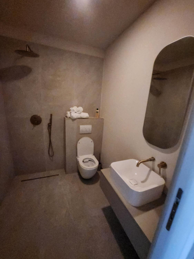 Bathroom, The berg's 2, Ocna Mures