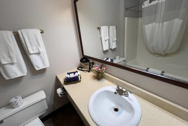 Bathroom 4, Ramada by Wyndham Florenceville, Carleton