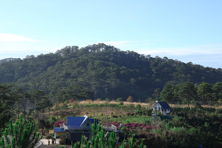 Others 5, Đong Mang Homestay, Lạc Dương