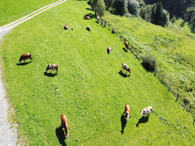Others 4, Farmhouse in Hollersbach near Ski Slopes, Zell am See
