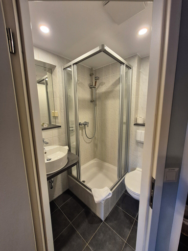 Bathroom 5, Hotel Roß, Erzgebirgskreis