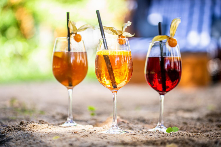 Food & Drinks 5, Hotel Lindenhof Bad Schandau, Sächsische Schweiz-Osterzgebirge