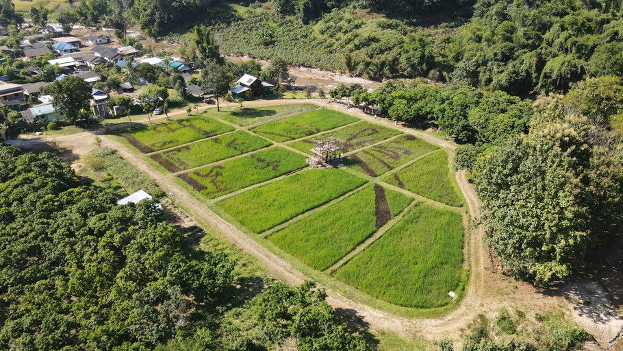 Others 5, GumbieVillage & FarmStay, Mae Ai