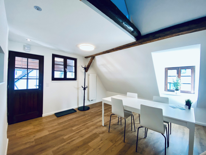 Others 3, Business Apartment Wangen, Wangen