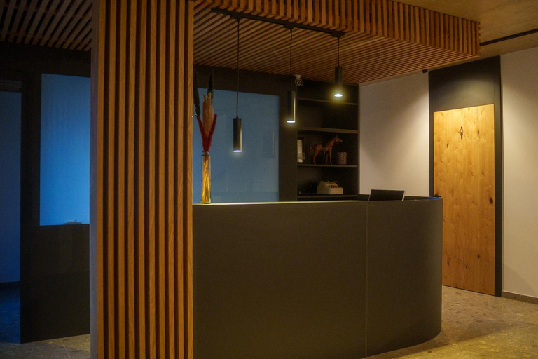 Public Area, Hotel Frost, Maribor