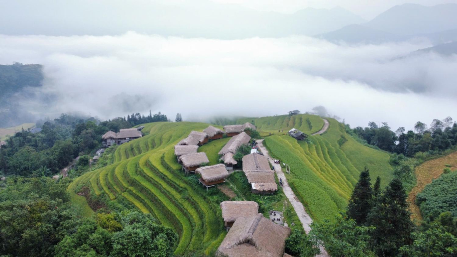 Others 5, Binh Minh Homestay, Hoàng Su Phì