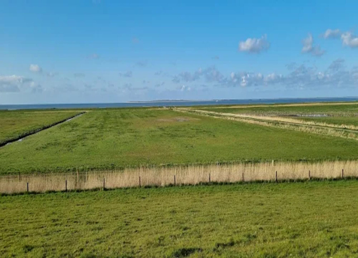 View from property 2, Bungalow Klonsnack in Dornumersiel, Aurich