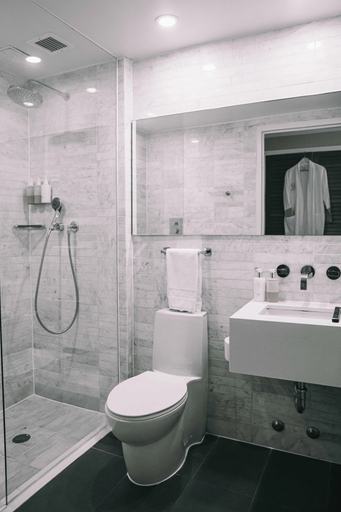 Bathroom 5, CODA Williamsburg, New York