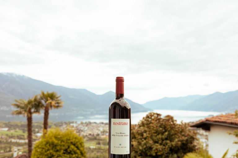 Food & Drinks 5, Casa Teatro Panoramico, Locarno