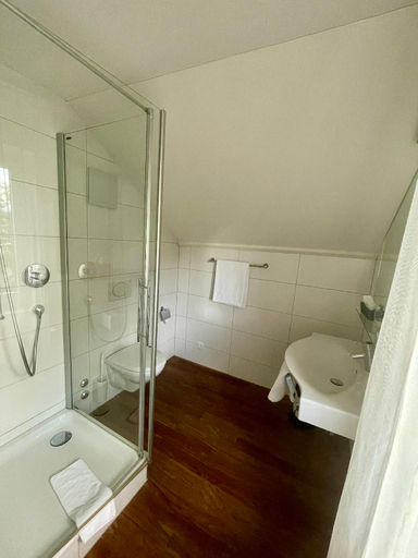 Bathroom 3, Gasthof Rössli Steinhausen, Zug