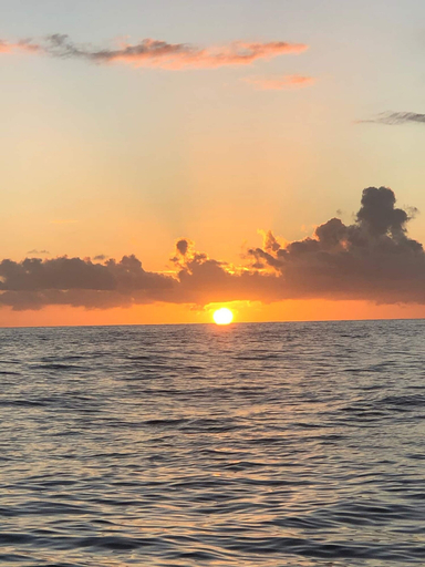 Room 2, Topspots - Paradise Getaway 2-min Drive to Beach, Honolulu