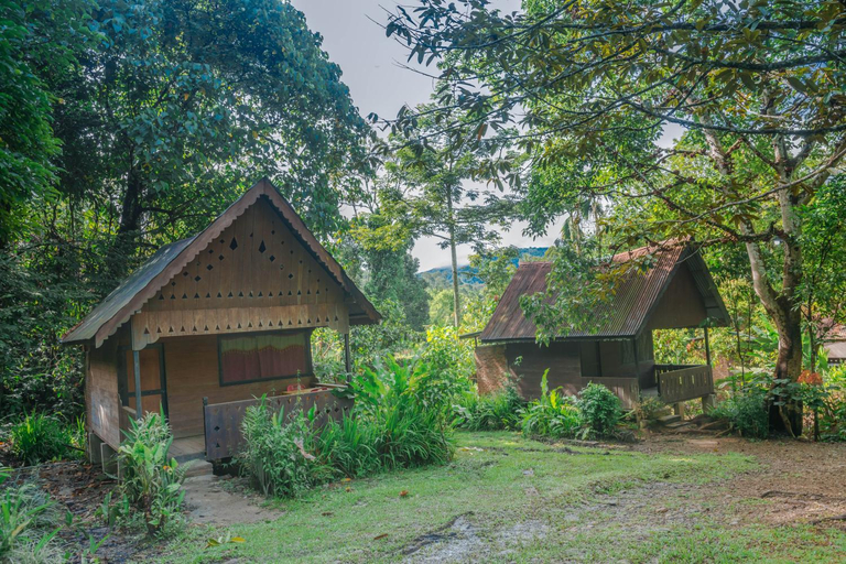 Others 4, Pak Mus Guest House Ketambe - 0813-7072-1793, Southeast Aceh