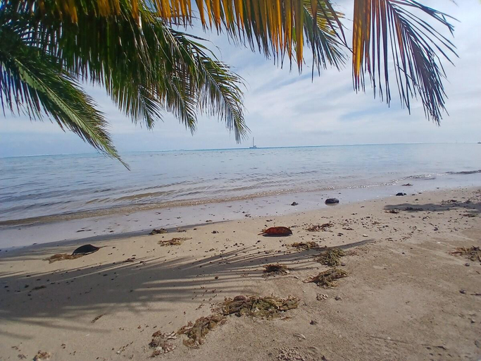 Others 5, Fare Ohiti, face au spot de surf de Haapiti