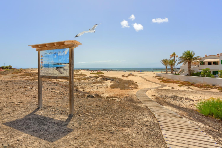 Others 5, La Concha Beach Apartments with pool for kids!, Las Palmas