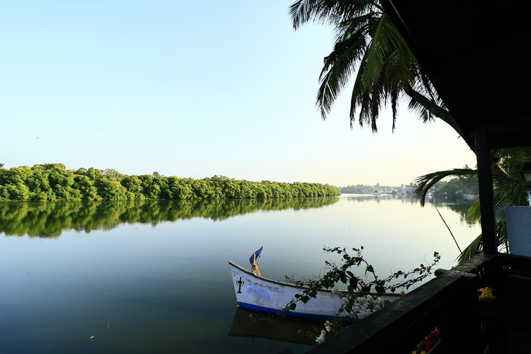 Others 4, Sal Riviera, South Goa