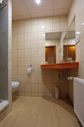 Bathroom 4, Hotel Zeleny Dum, Karlovy Vary