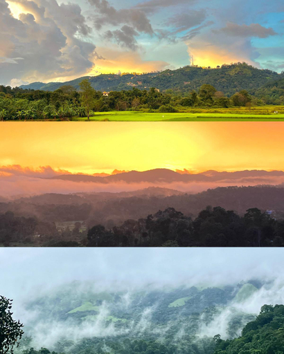 Others 5, TauSco - Homestay & Campsite, Kodagu