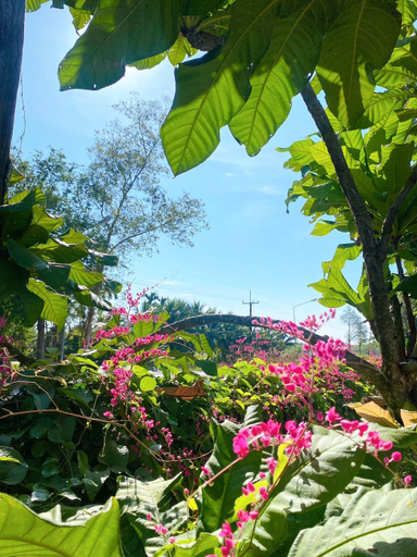 Others 3, Phob Rak Resort & Garden, K. Na Yai Am