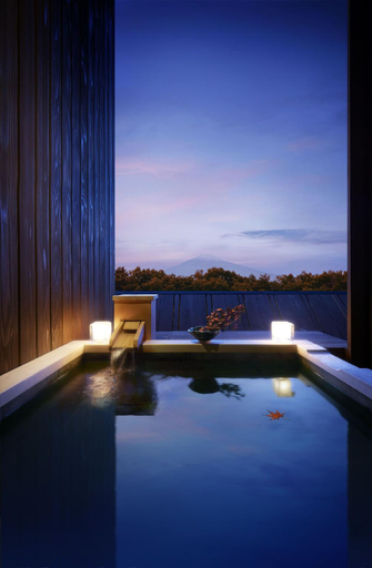 Sport & Beauty 2, Hotel Laforet Shuzenji Sanshisuimei, Izu