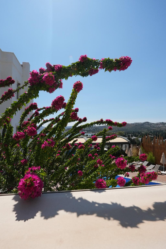 Others 5, Queen Boutique Hotel, Bodrum