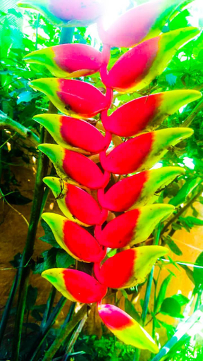 Others 3, Pousada Aquarela Pirenopolis, Pirenópolis