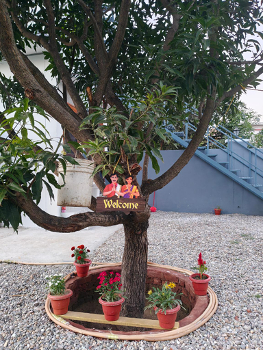 Others, Blue Bell Homestay, Nainital