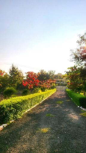 Others 4, Nature Lovers Resort, Indore