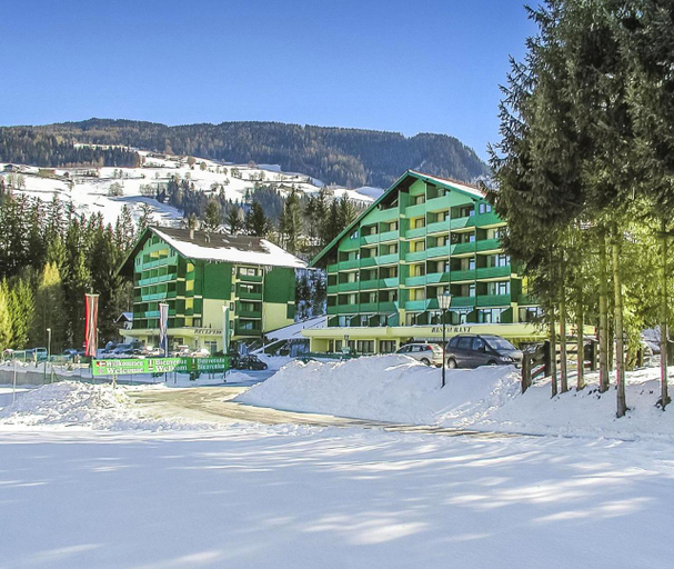 Others 3, Alpine Apartment Schladming, Liezen