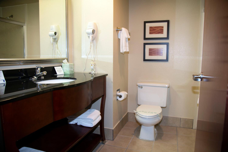 Bathroom 4, Ardmore Inn & Suites, Carter