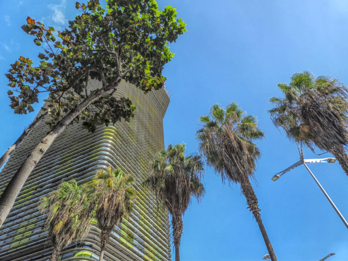 Others 5, Yan Building By CanariasGetaway, Las Palmas