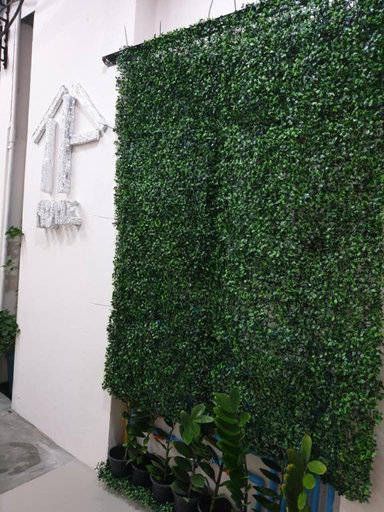 Others 5, TP home, Bang Su